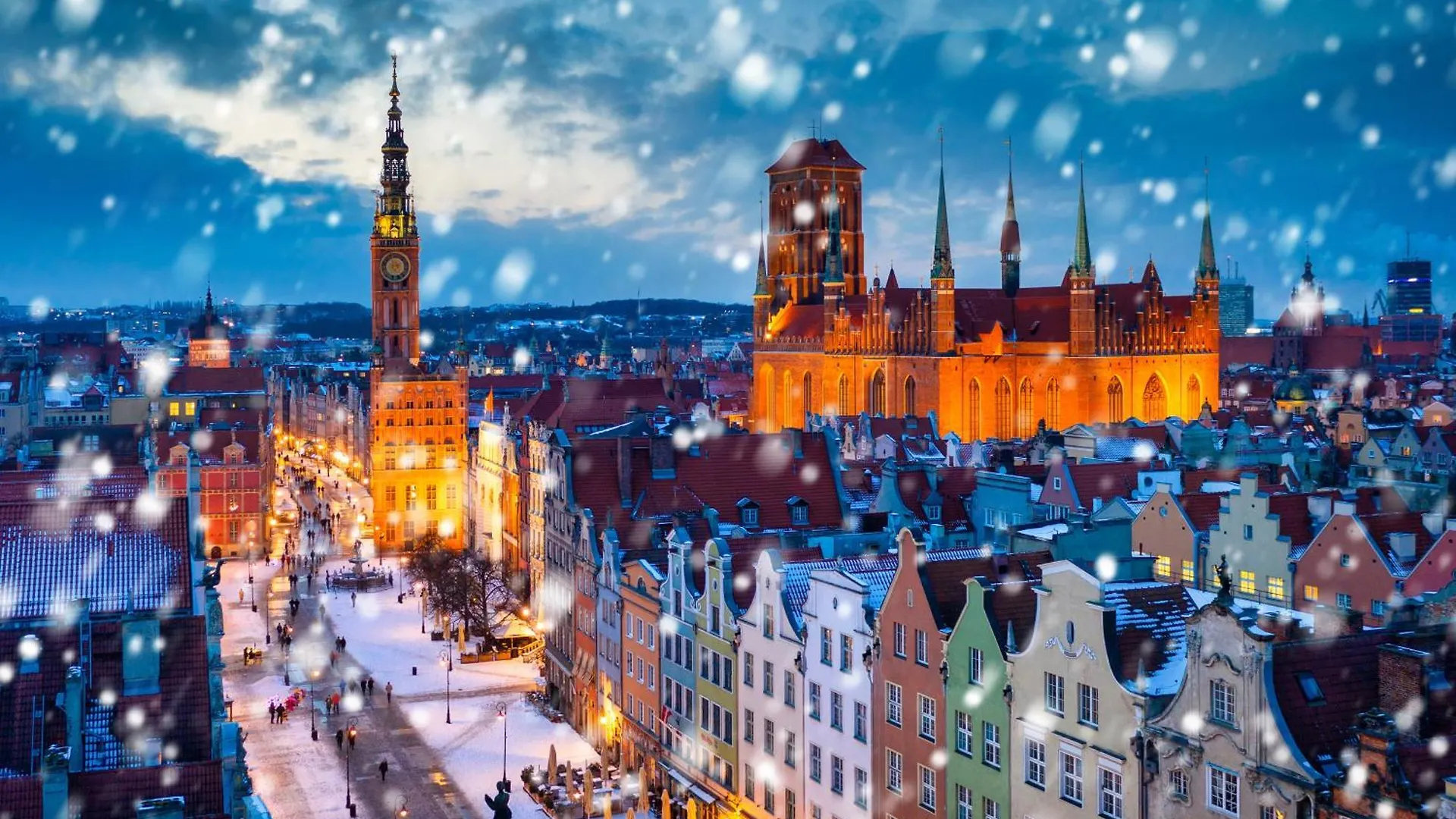 Tsuru Apartment Gdańsk